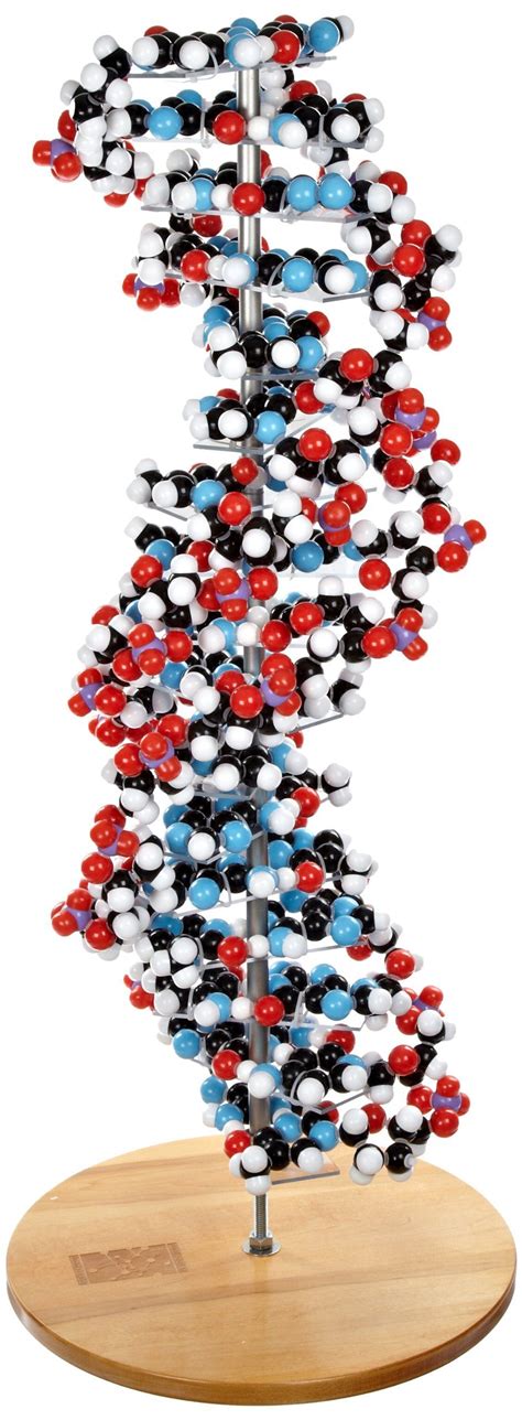 dna ebay